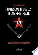 Bruissement d'ailes d'une pipistrelle
