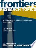 Building up the inhibitory synapse