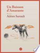Buisson d'Amarante