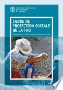 CADRE DE PROTECTION SOCIALE DE LA FAO