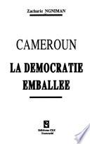 Cameroun, la démocratie emballée