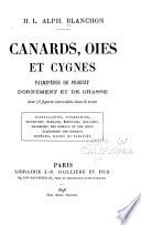 Canards, oies et cygnes, palmipèdes de produit d'ornement et de chasse ...