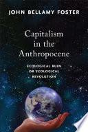 Capitalism in the Anthropocene