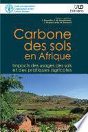 Carbone des sols en Afrique