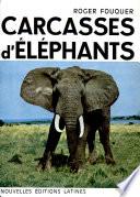 Carcasses D' Elephants