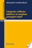 Categories Confibrees Additives et Complexe Cotangent Relatif