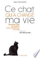 Ce chat qui a changé ma vie