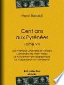 Cent ans aux Pyrénées