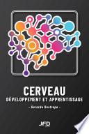 Cerveau, développement et apprentissage