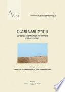 Chagar Bazar (Syrie): Les vestiges post-akkadiens du chantier D et études diverses