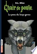 Chair de poule
