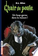Chair de poule , Tome 60