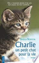 Charlie, un petit chat pour la vie