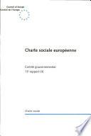 Charte sociale européenne, Comité gouvernemental