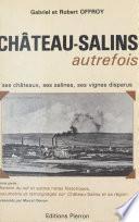 Château-Salins autrefois : Ses châteaux, ses salines, ses vignes disparus