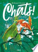 Chats T6