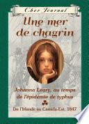 Cher Journal : Une mer de chagrin