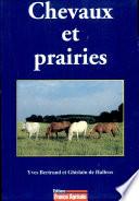Chevaux et prairies