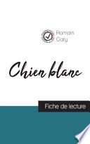 Chien blanc de Romain Gary (fiche de lecture et analyse complète de l'oeuvre)