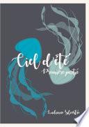 Ciel d'été - première partie