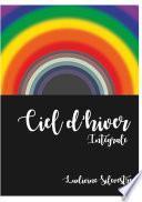 Ciel d'hiver - intégrale