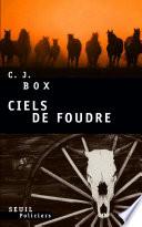 Ciels de foudre