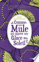 Comme une mule qui apporte une glace au soleil
