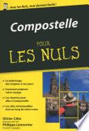 Compostelle Poche Pour les Nuls