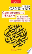 Comprendre l'islam. ou plutôt : pourquoi on n'y comprend rien