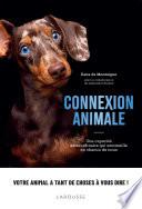 Connexion animale