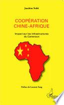 Coopération Chine-Afrique