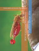 Cours de Parasitologie Médicale