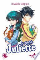 Cœurs papillons – Le carnet de Juliette – Lecture roman jeunesse histoire d'amour