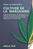 Cultiver de la Marijuana pour les Débutants