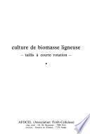 Culture de biomasse ligneuse