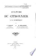 Culture du citronnier à la Dominique