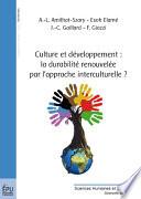 Culture et développement