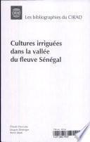Cultures irriguées dans la vallée du fleuve Sénégal