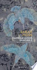 Dans la lande immobile