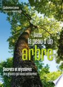 Dans la peau d'un arbre