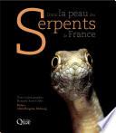 Dans la peau des serpents de France