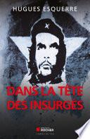 Dans la tête des insurgés