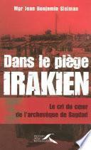 Dans le piège irakien