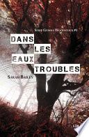 Dans les eaux troubles