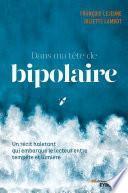Dans ma tête de bipolaire