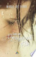 Dans un bruissement d’Elle | Roman lesbien, livre lesbien