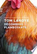 Décombres Flamboyants