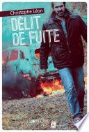 Délit de fuite