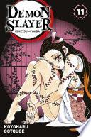 Demon Slayer T11