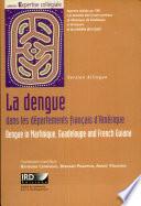 Dengue in Martinique, Guadeloupe and French Guiana